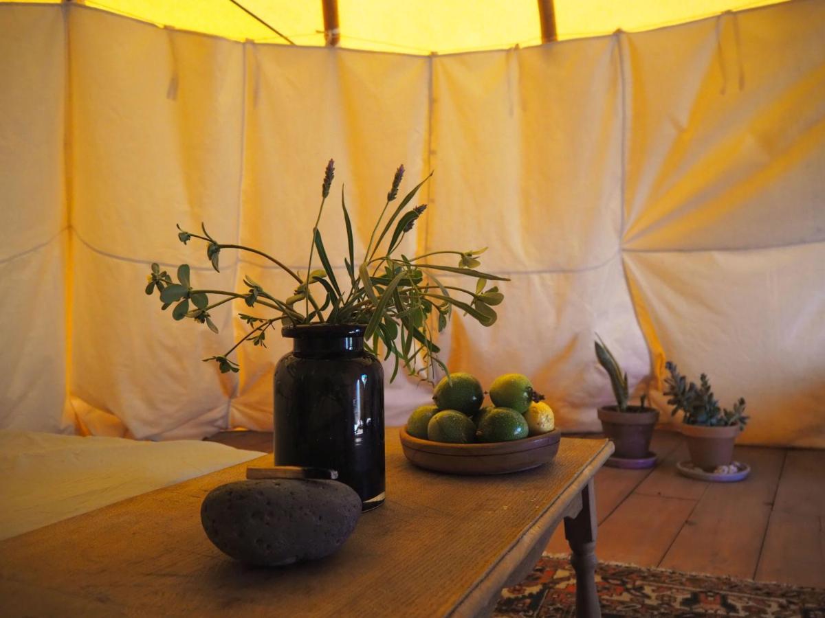 מלון טינדאיה Teepee Barranco מראה חיצוני תמונה